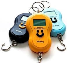 Downtown Digital Hanging Scale, Portable Electronic Luggage and Kitchen Scale with LCD Display, Heavy Duty Hook Weighing Scale for Travel Fishing.